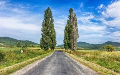 Un plan B bon marché dans la campagne en Hongrie