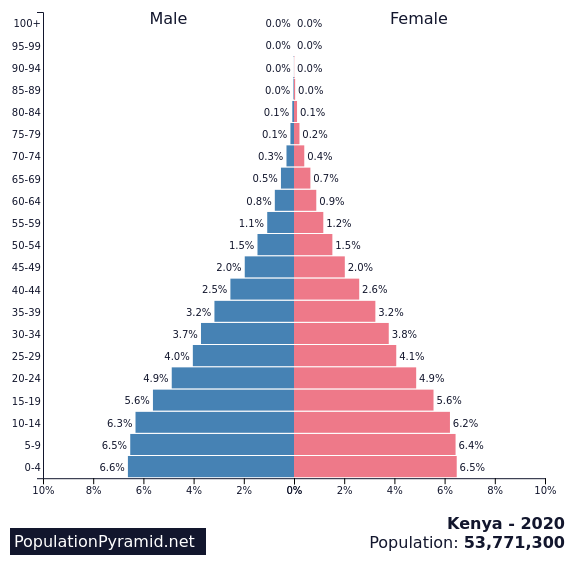 population pyramid kenya